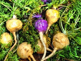 �c���鿴Ԕ��