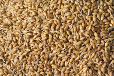 �c(di��n)���鿴Ԕ��(x��)